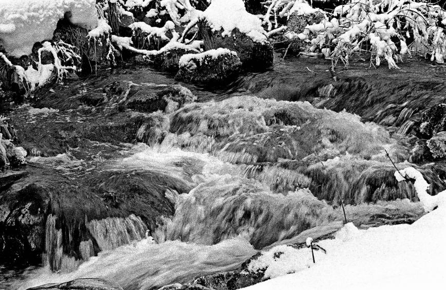 Wasser Tegernsee